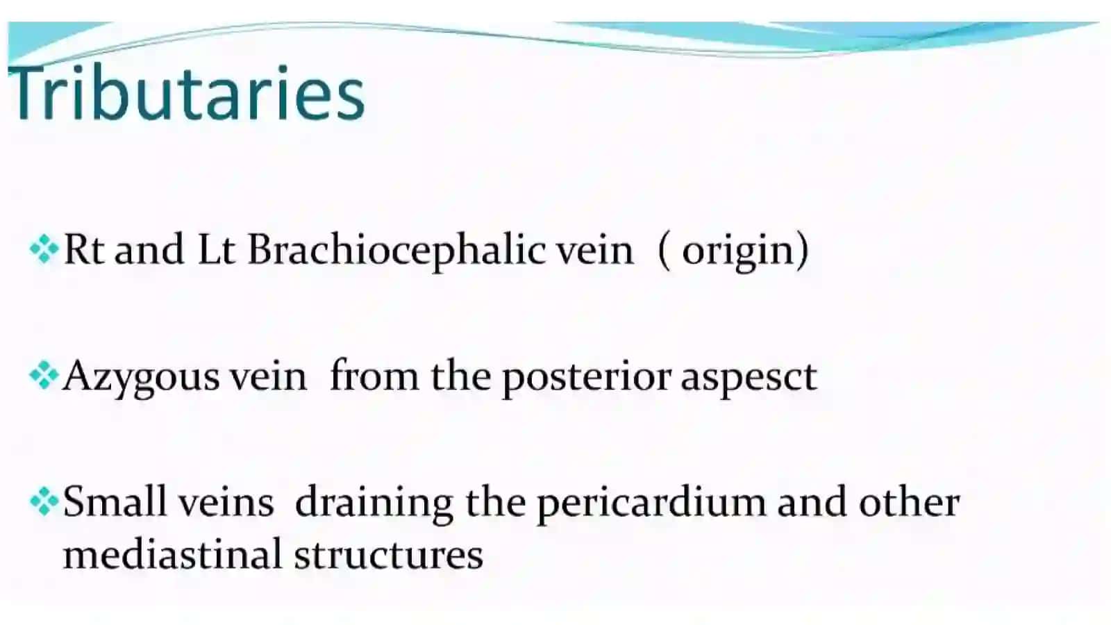 Anatomy of venous system 4