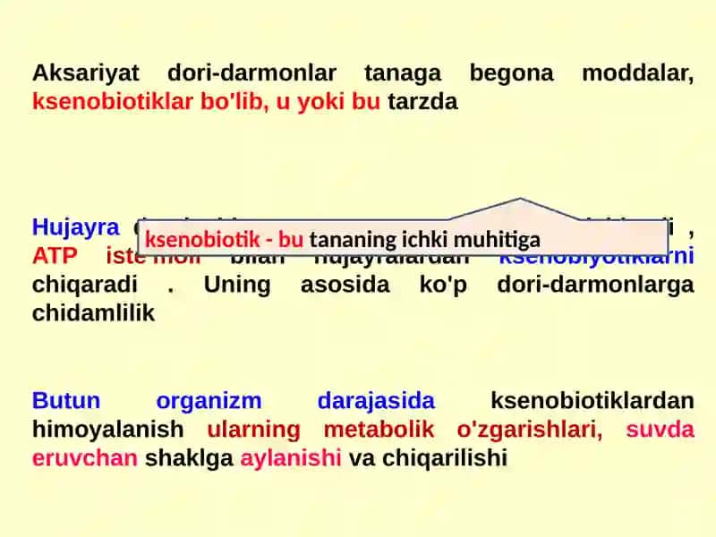 Dori allergiyasi 4