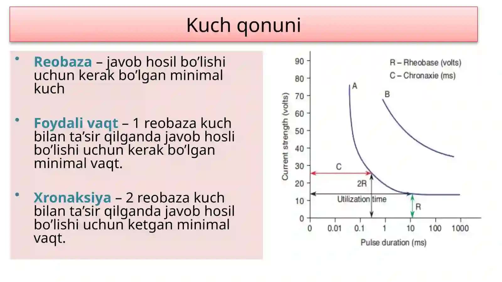 Nervtolasi 4