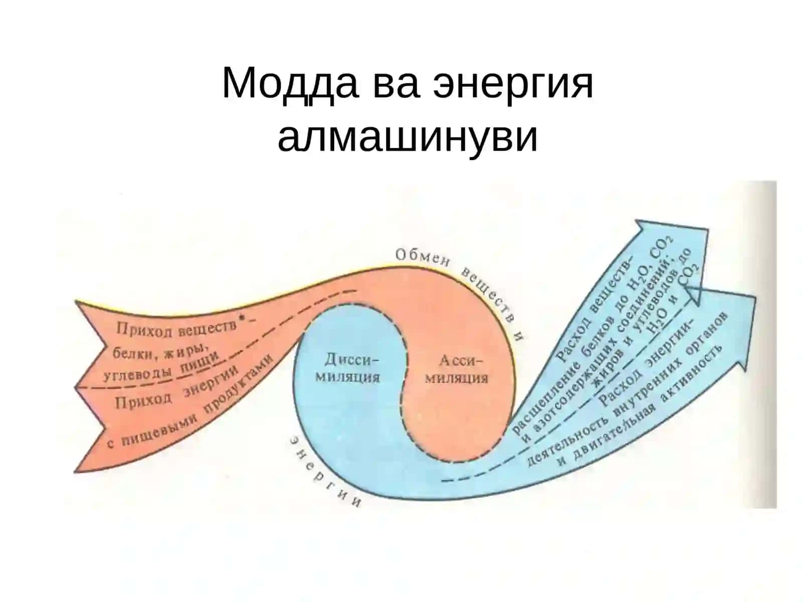 Маъруза №10 4