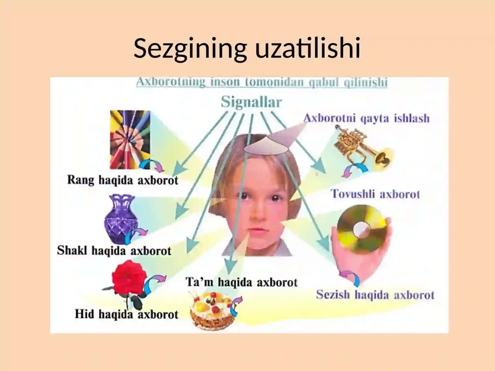 Sezgi 4