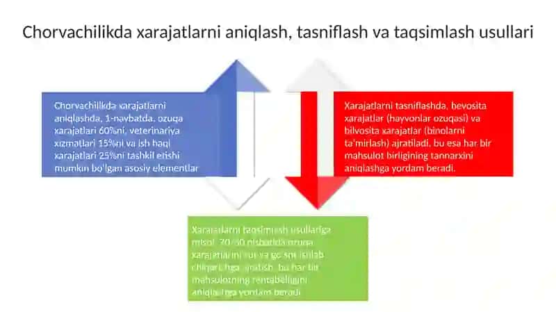 Chorvachilikda xarajatlar hisobi va mahsulot tannarxini kalkulyatsiyalash auditi 4