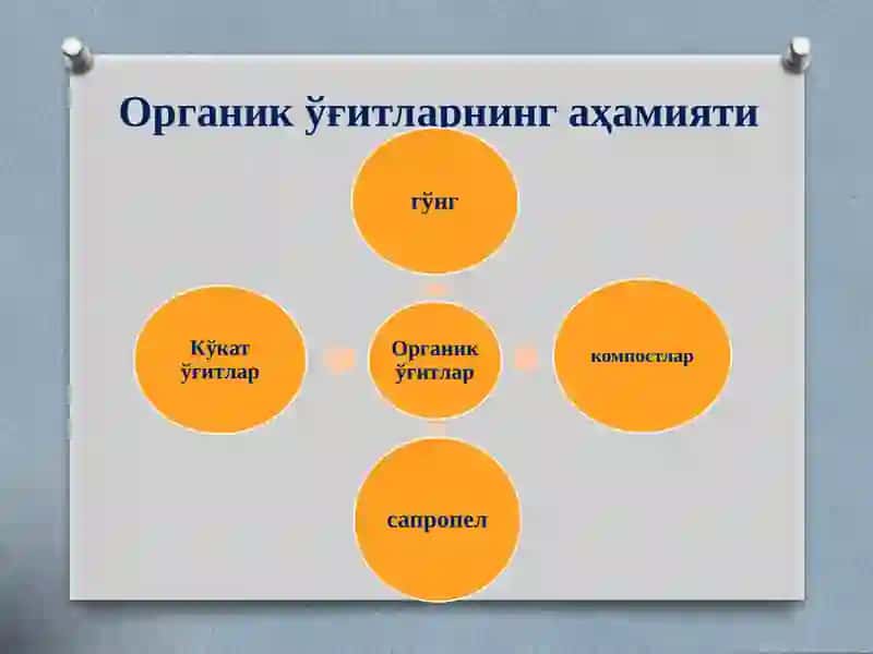 Органик ўғитлар 4