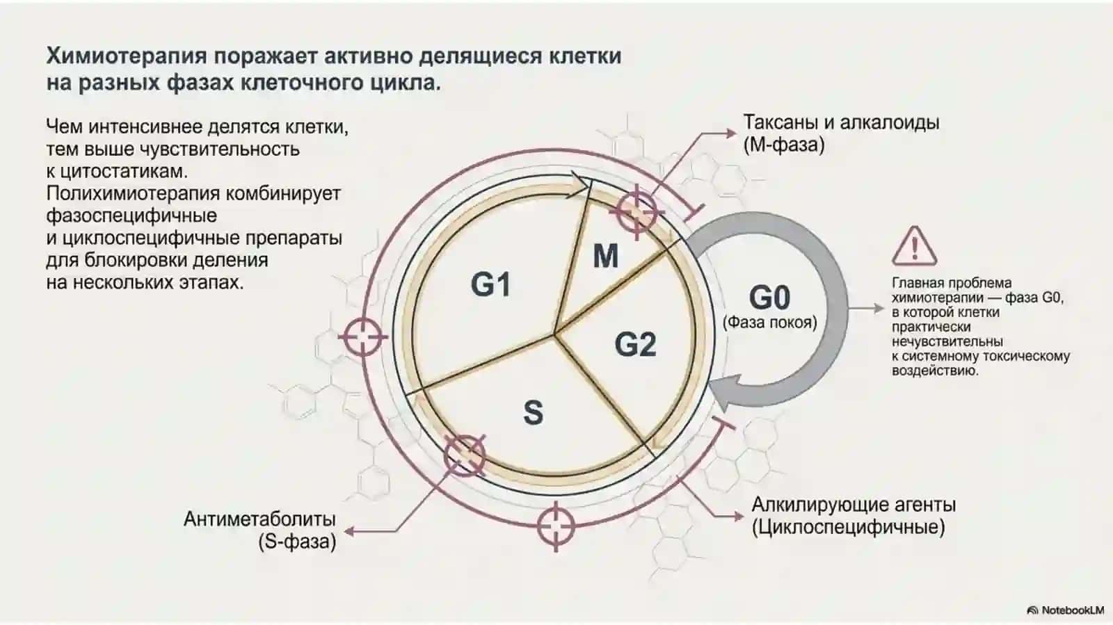 Медикаментозная терапия для лечения опухолей (химиотерапия) Precision_Oncology_Evolution 4