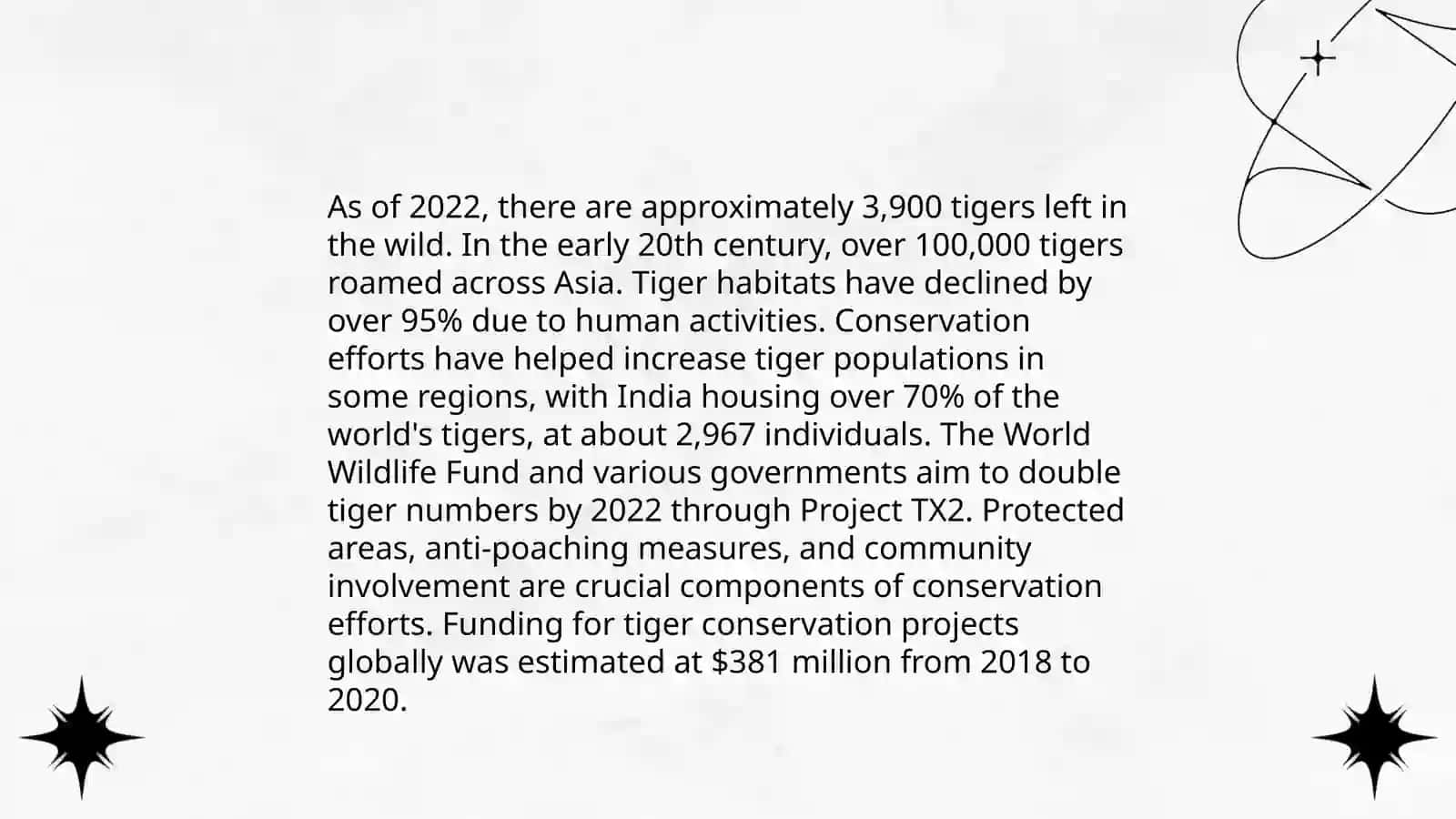 Tiger 4