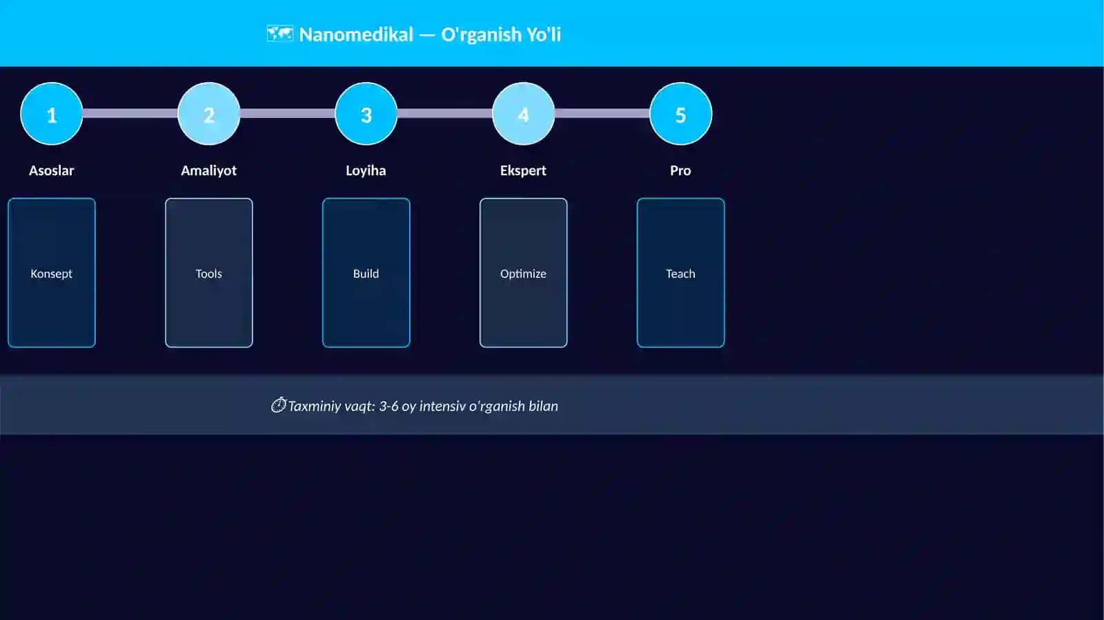 Nanomedikal 4