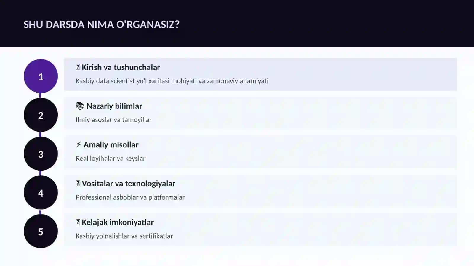 Kasbiy data scientist yo'l xaritasi 4