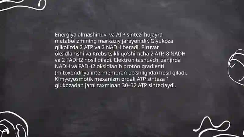 Metabolizm 4