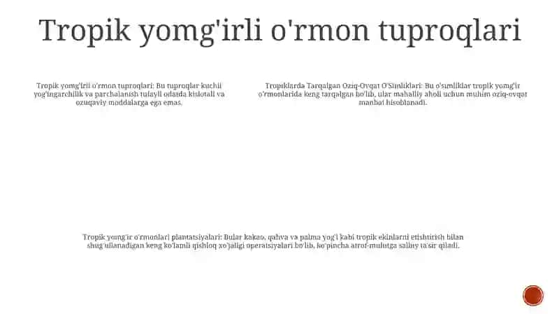 Tropiklarda Tarqalgan Oziq-Ovqat O'Simliklari 4