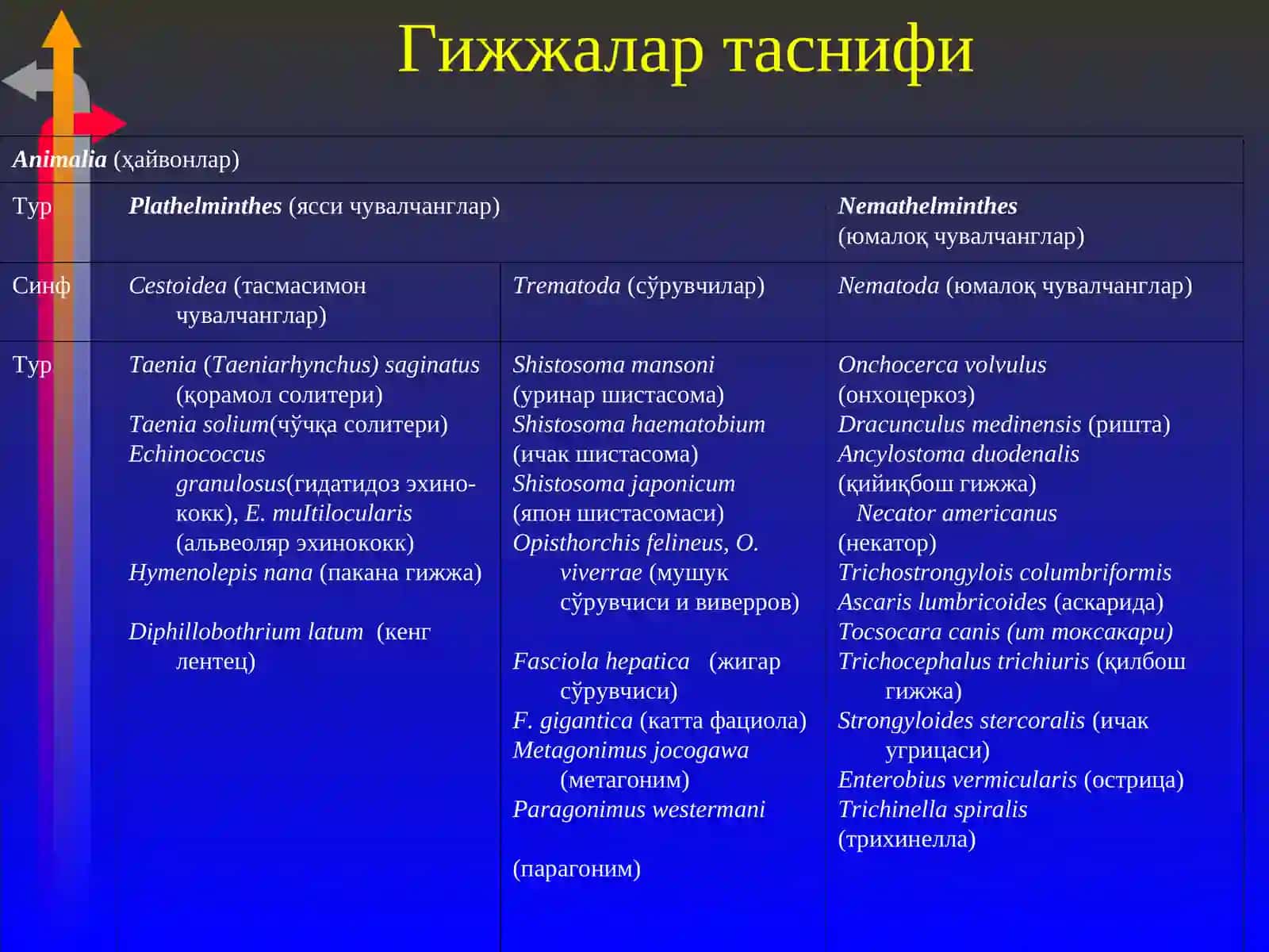 Гижжа касалликлари 4