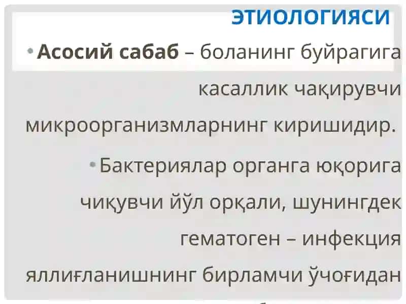Пиелонефрит 4