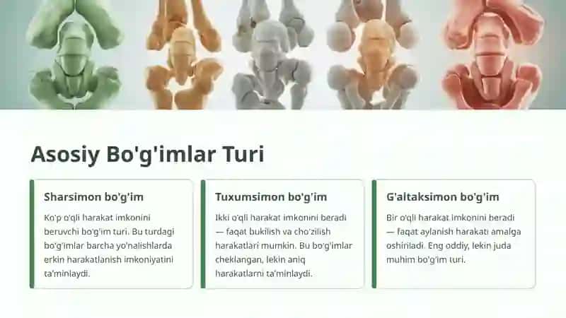 Oyoq Panjasi Bo'g'imlari 4