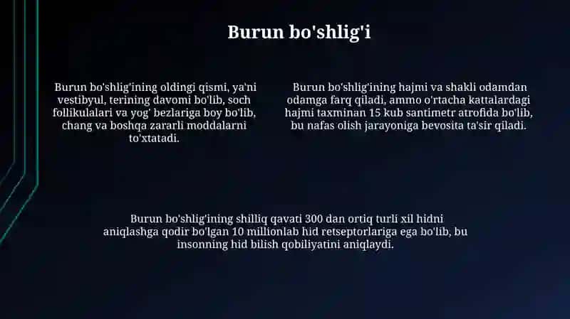 Bronxlarning funksiyalari 4