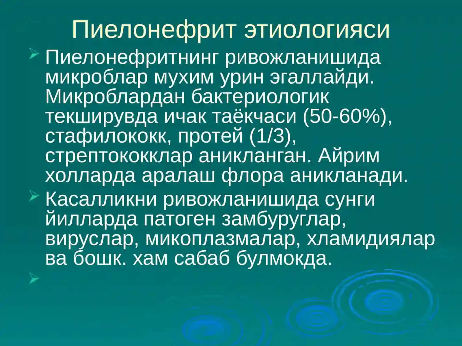 Пиелонефритлар 4