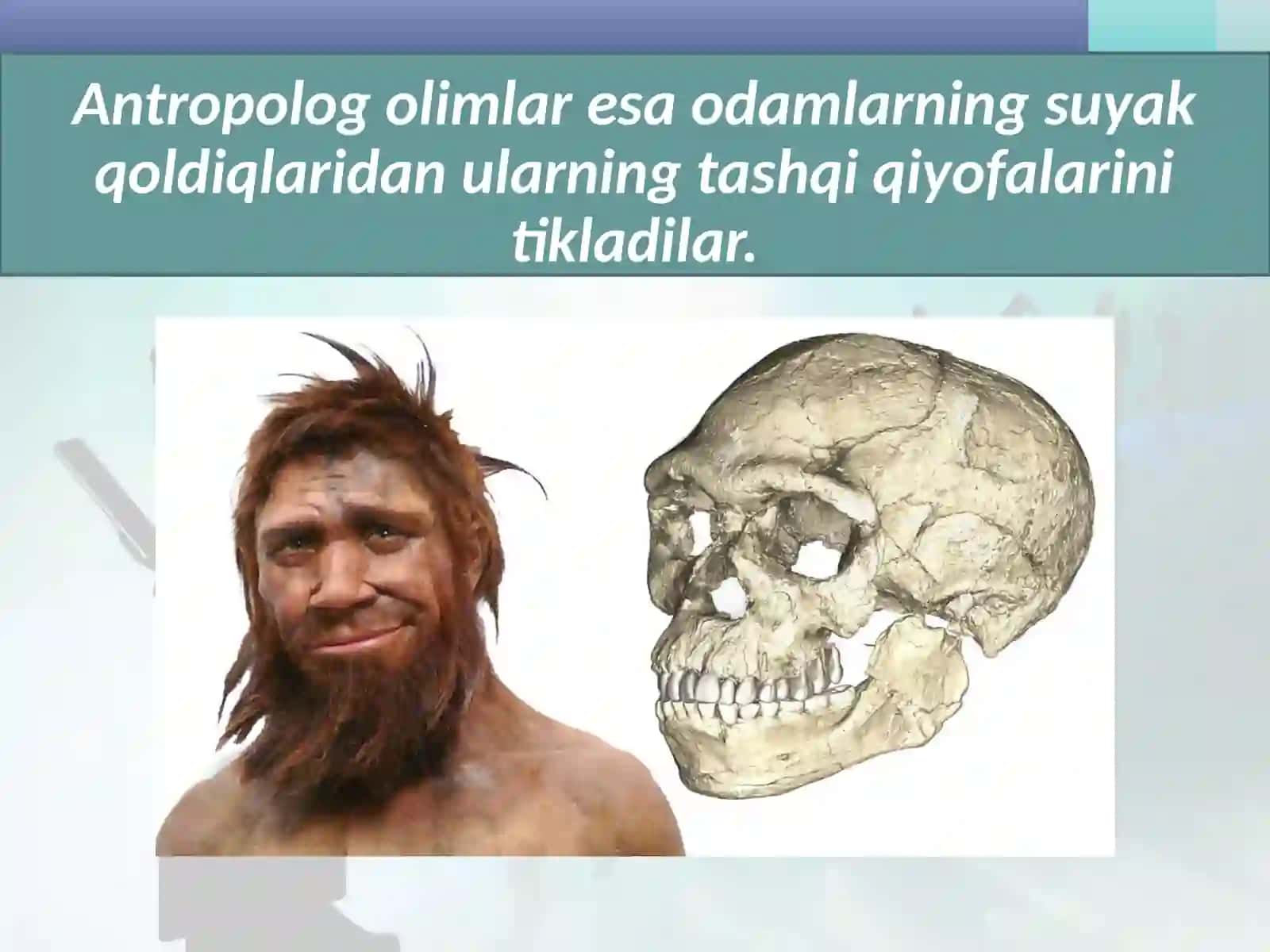 Eng  qadimgi  odamlar  va  ularning  manzilgohlari 4