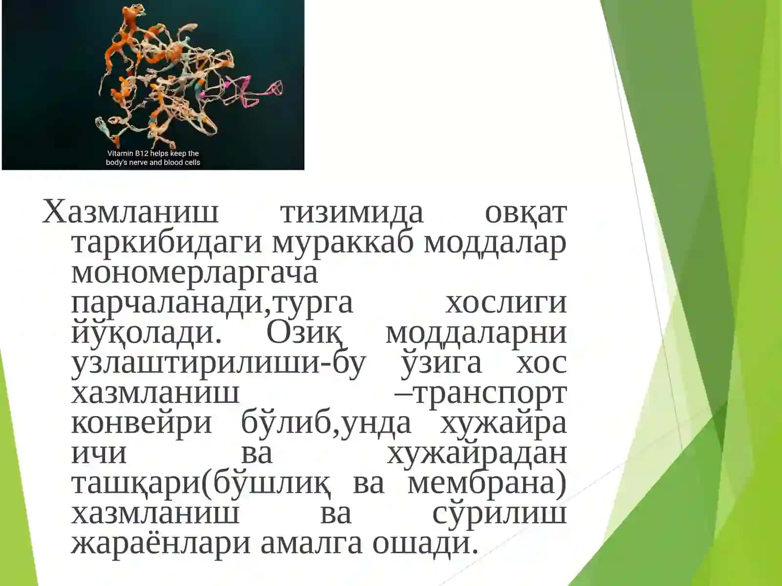 Хазм ва унинг турлари 4