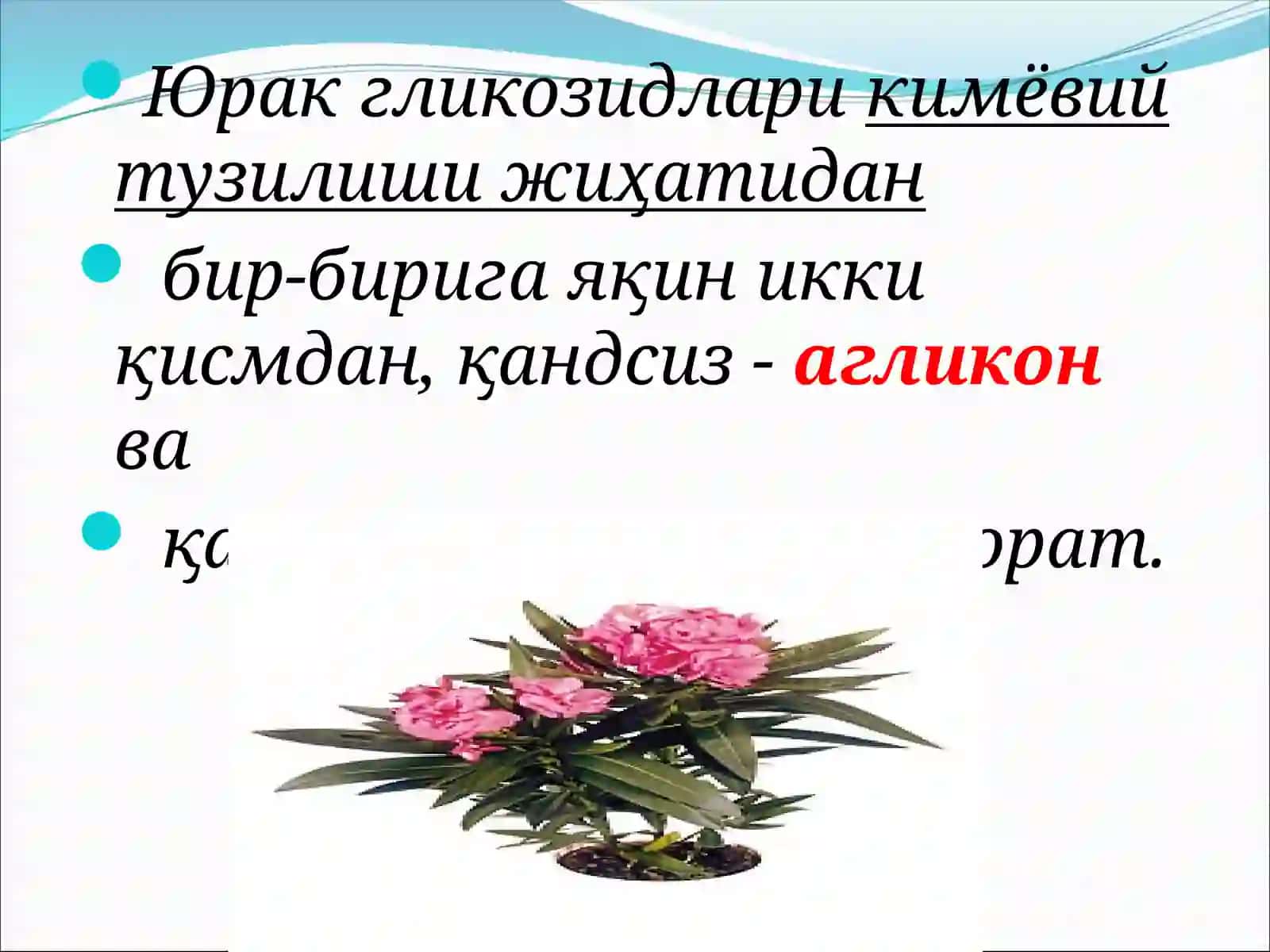 Юрак гликозидлари 4