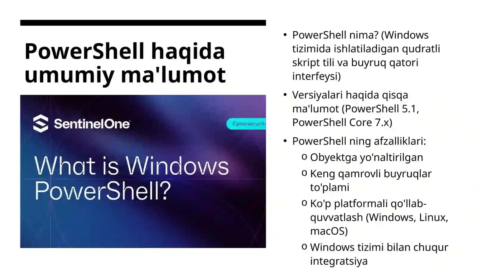 PowerShell yordamida fayl va papkalarni avtomatik yaratish va boshqarish. Mustaqil ish 4