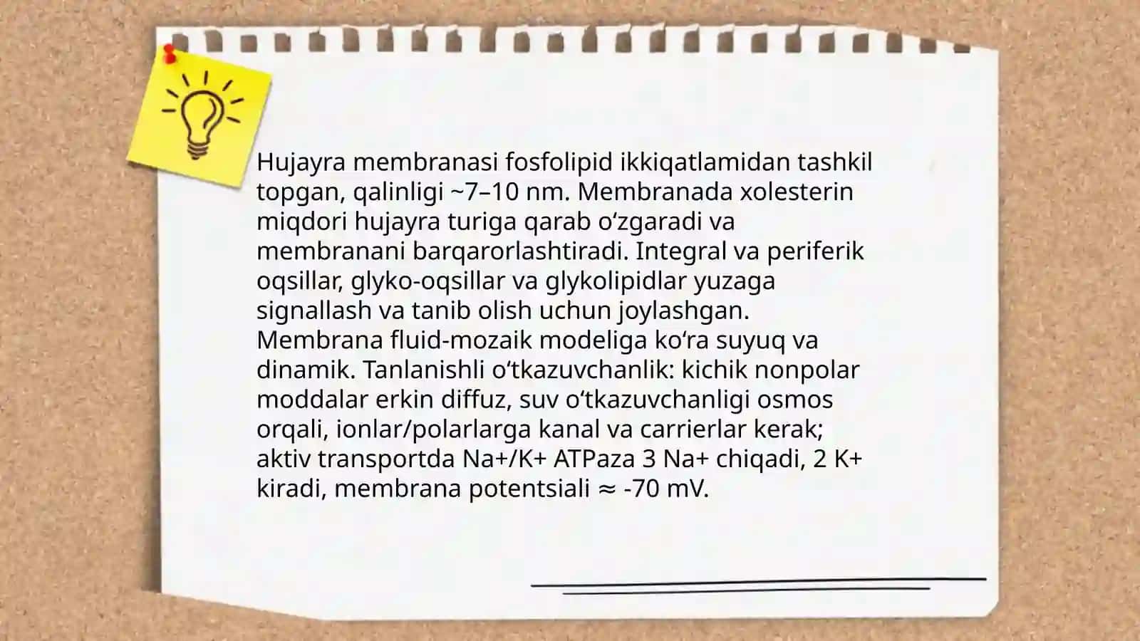 Sitologiya 4
