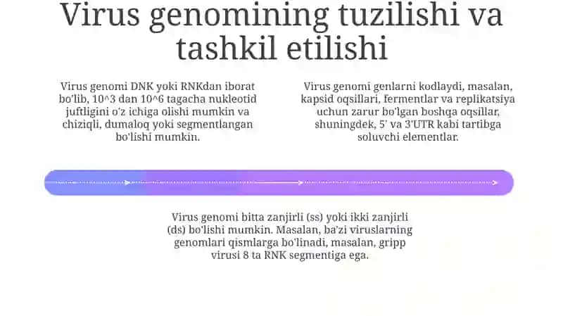 Viruslarning kimyoviy tarkibi 4