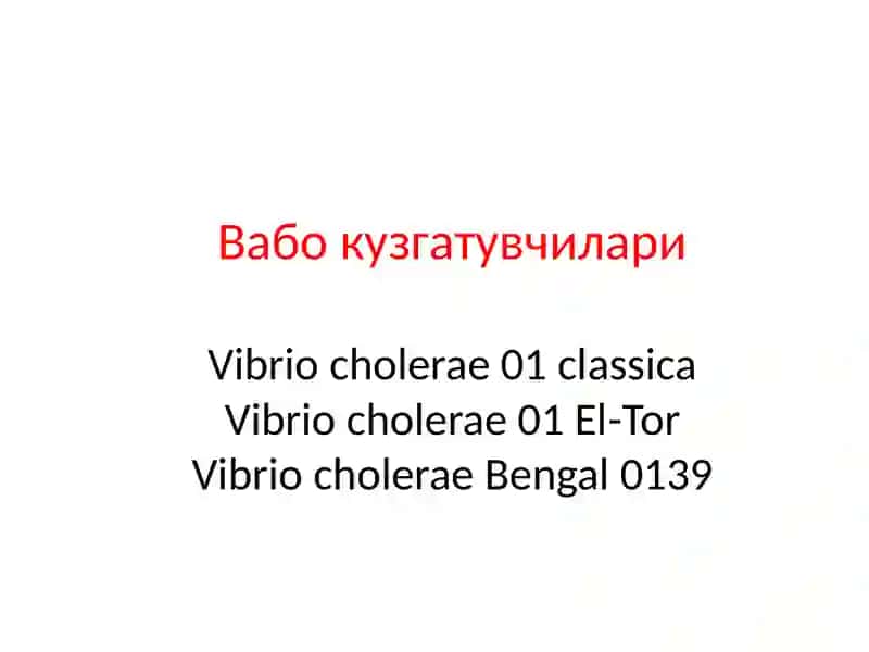 VABO (cholera) 4