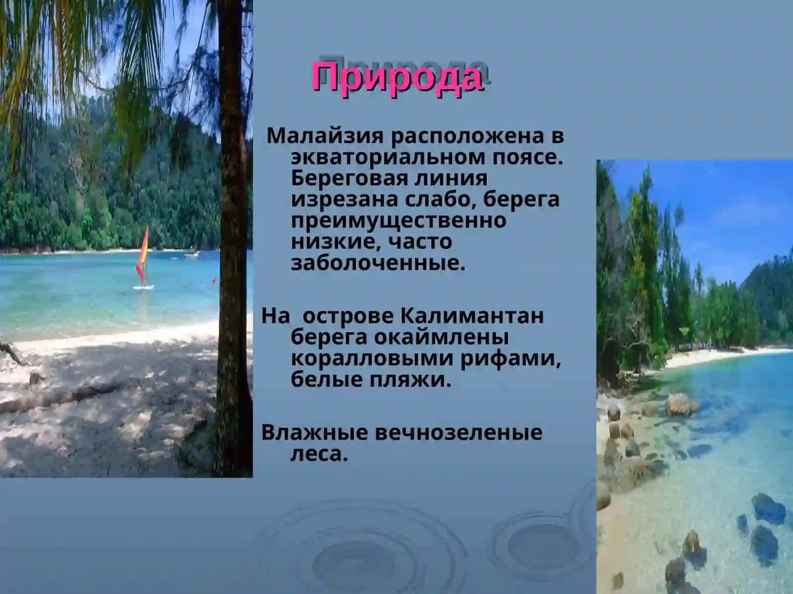 Малайзия 4