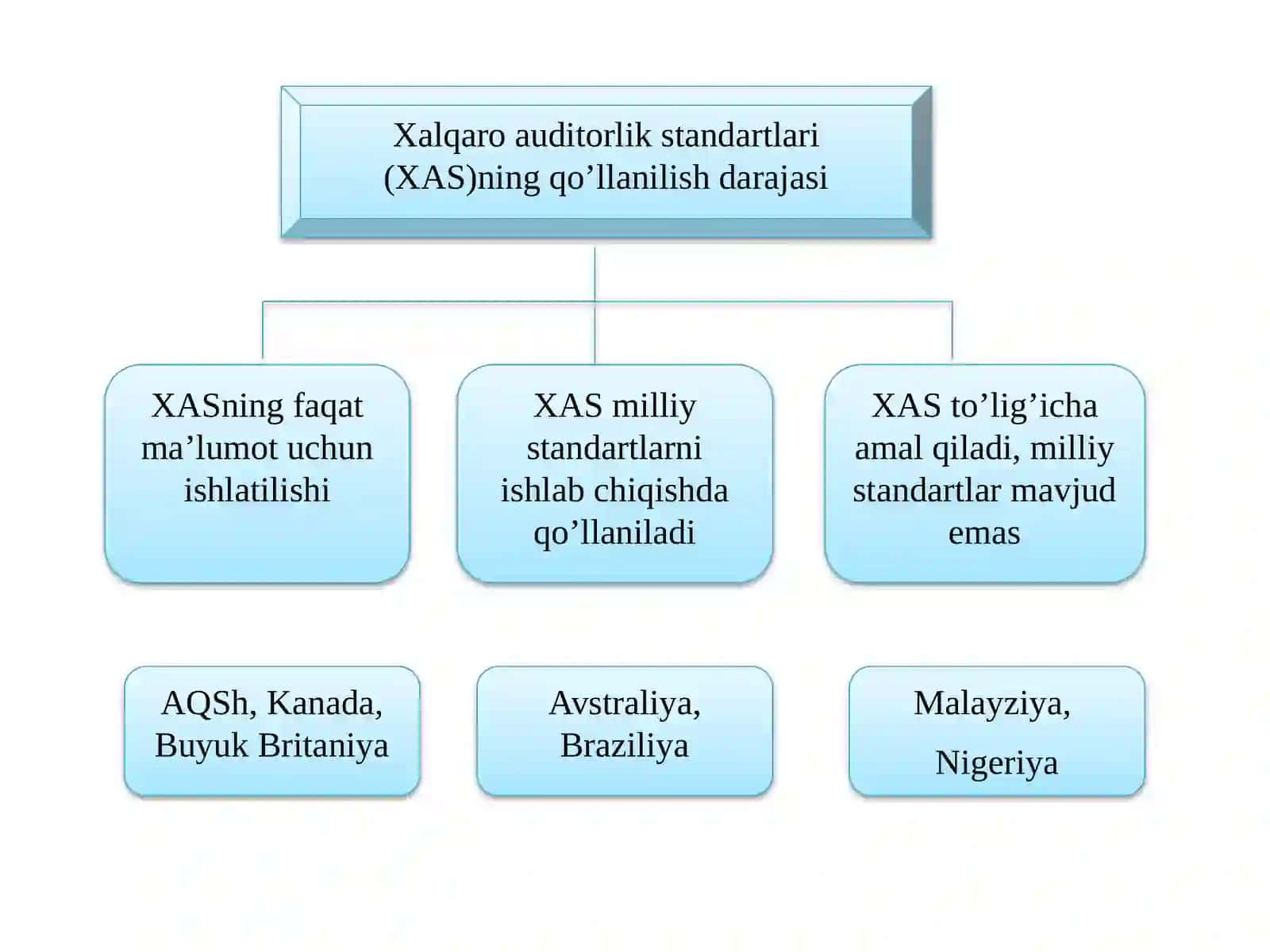 AUDITNING XALQARO STANDARTLARI 4