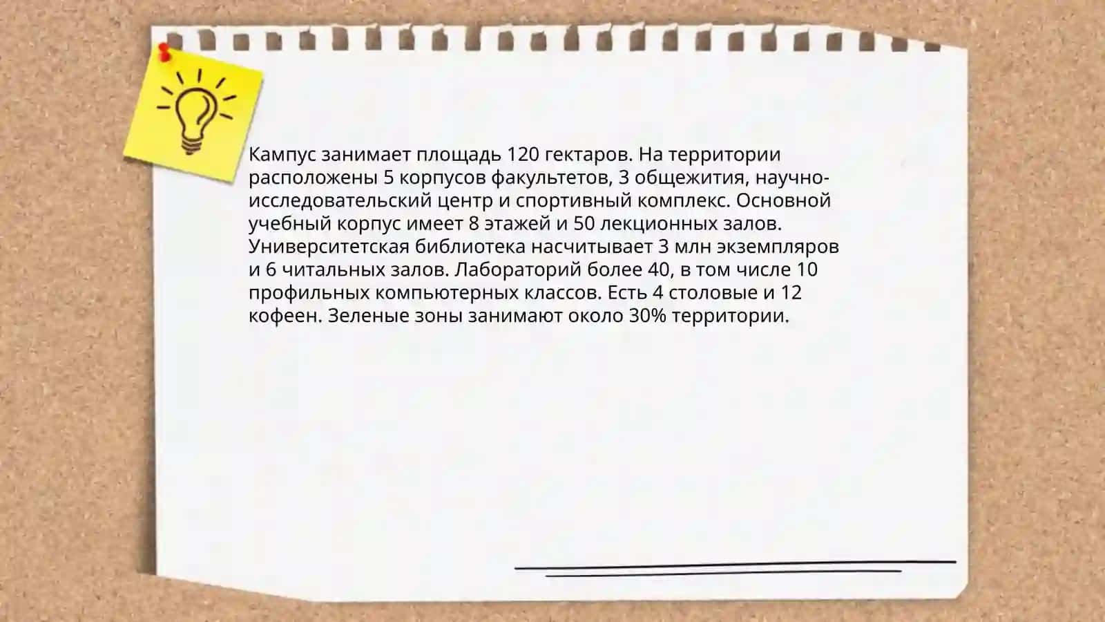 Мой университет 4
