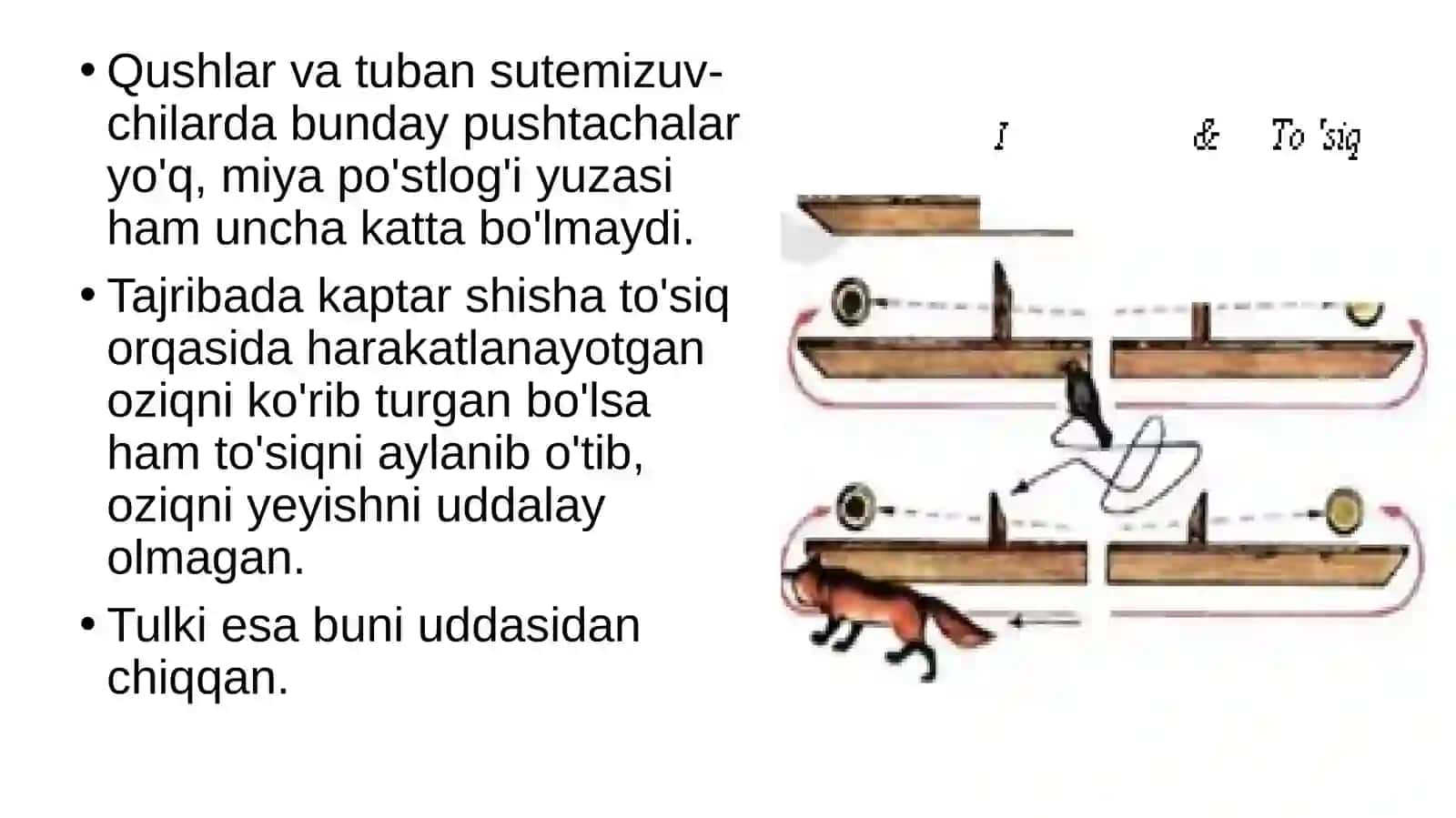 Biologiya 4