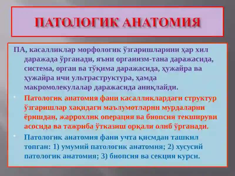 Патологик анатомия 4