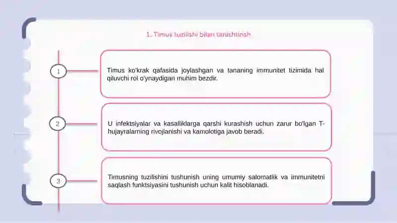 Odam Anatomiyasi 4