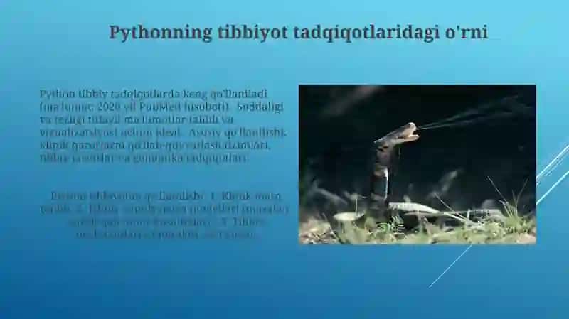 Tibbiyotda Python dasturlash tili 4