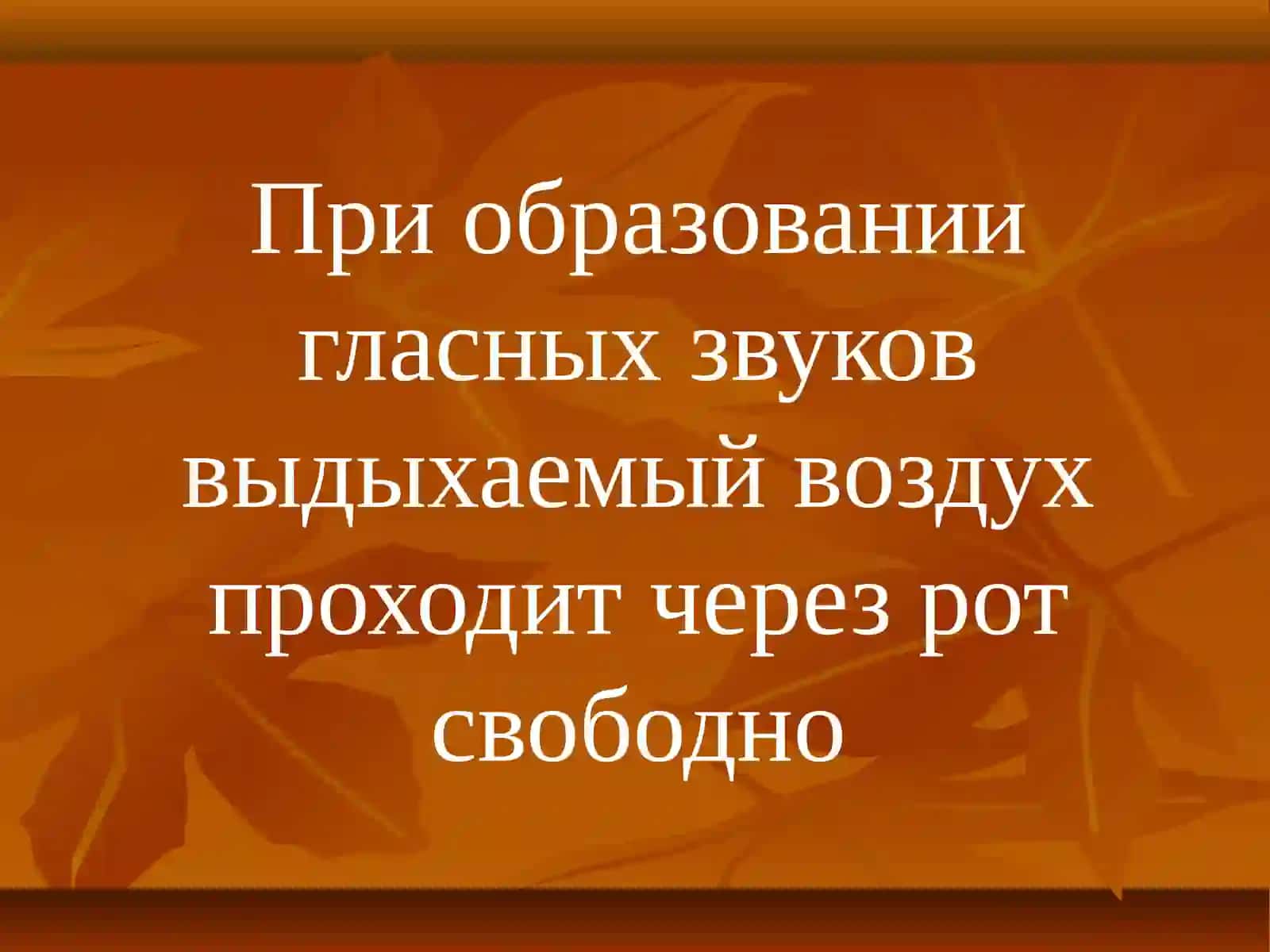 ФОНЕТИКА 4