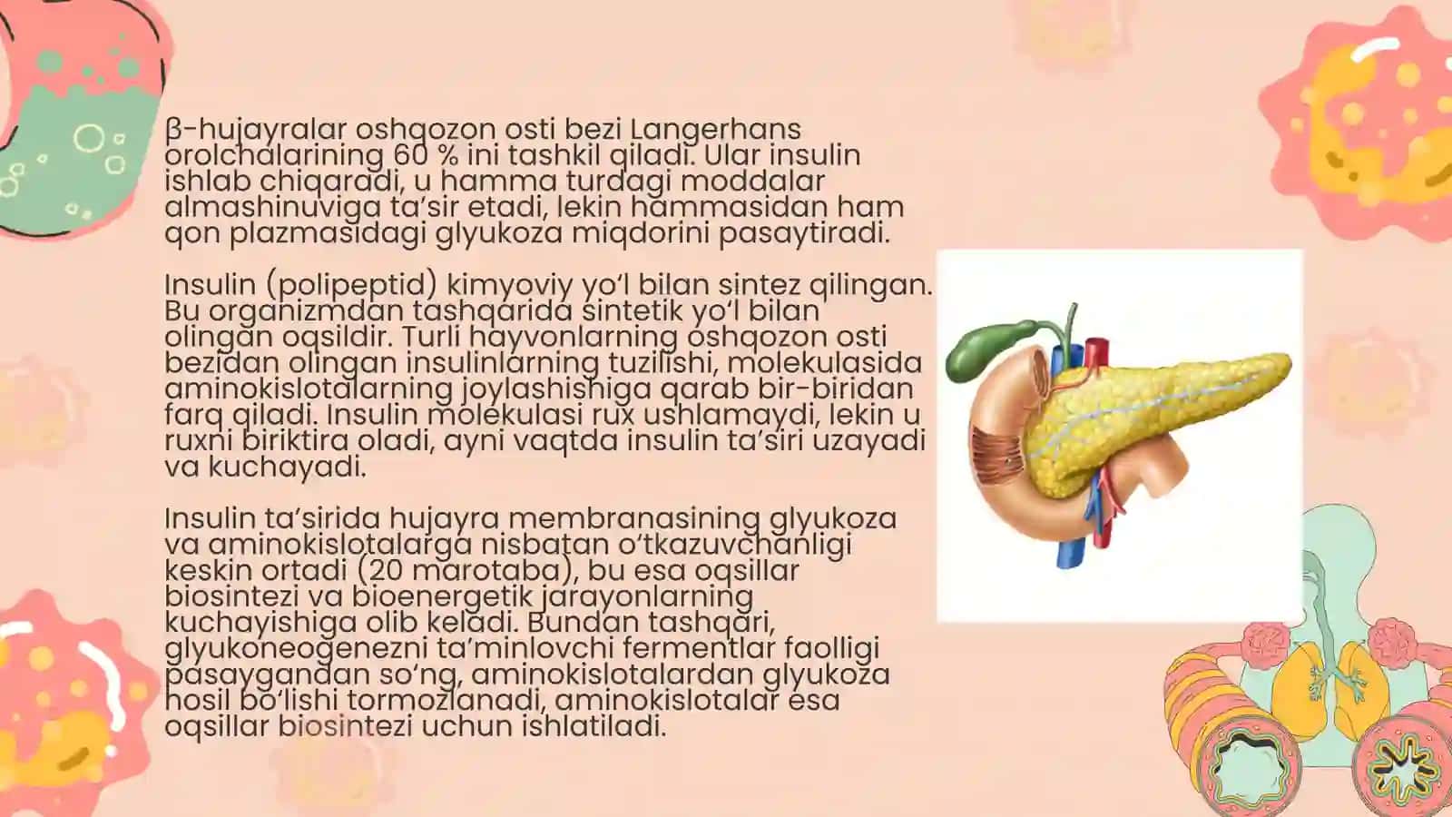Me’da osti bezi 4
