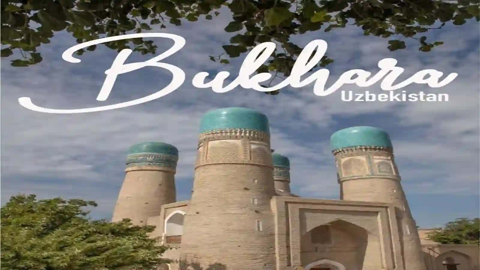 Polvonnazirova Havojon 4