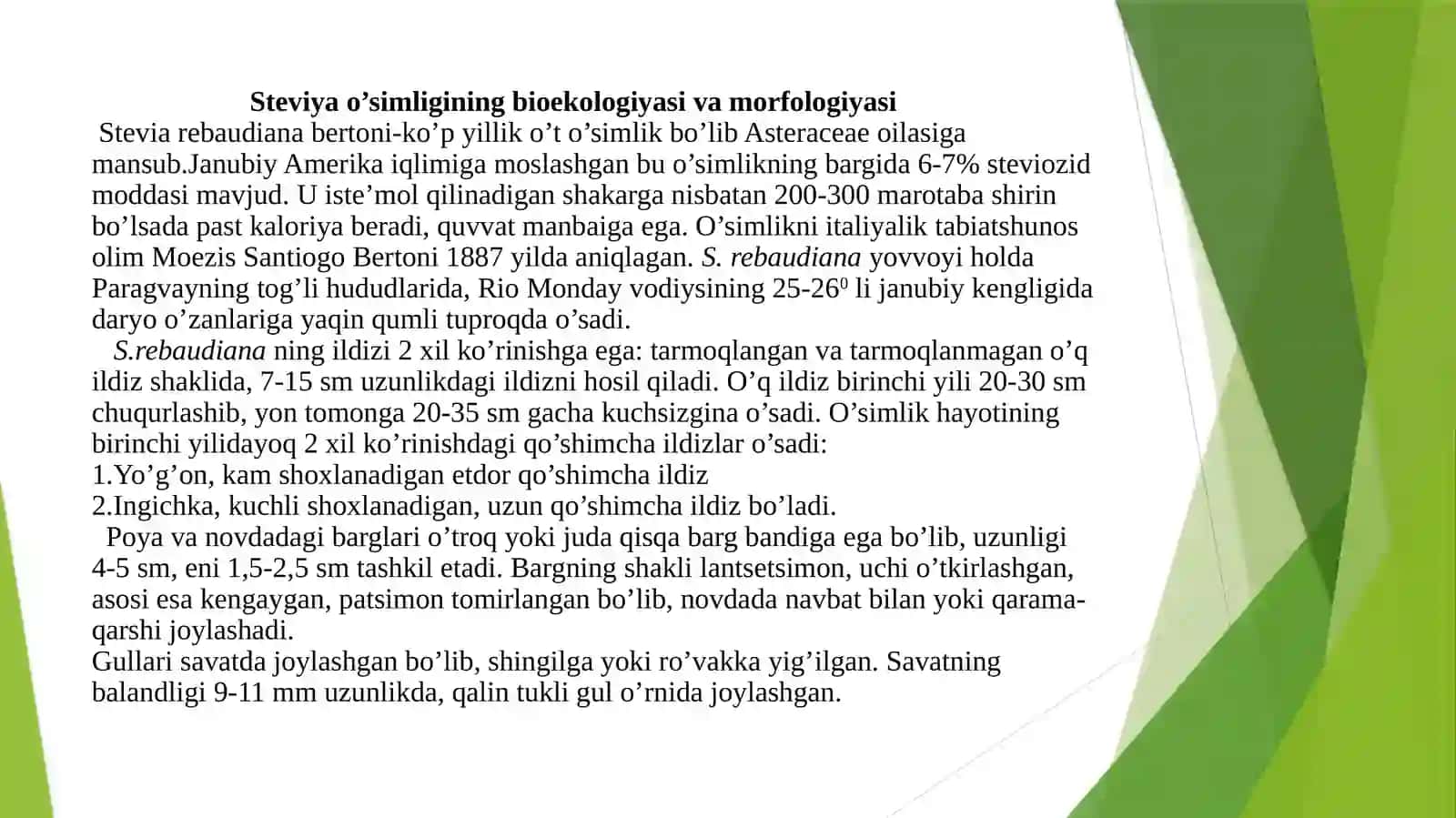 Steviya O'simligi 4