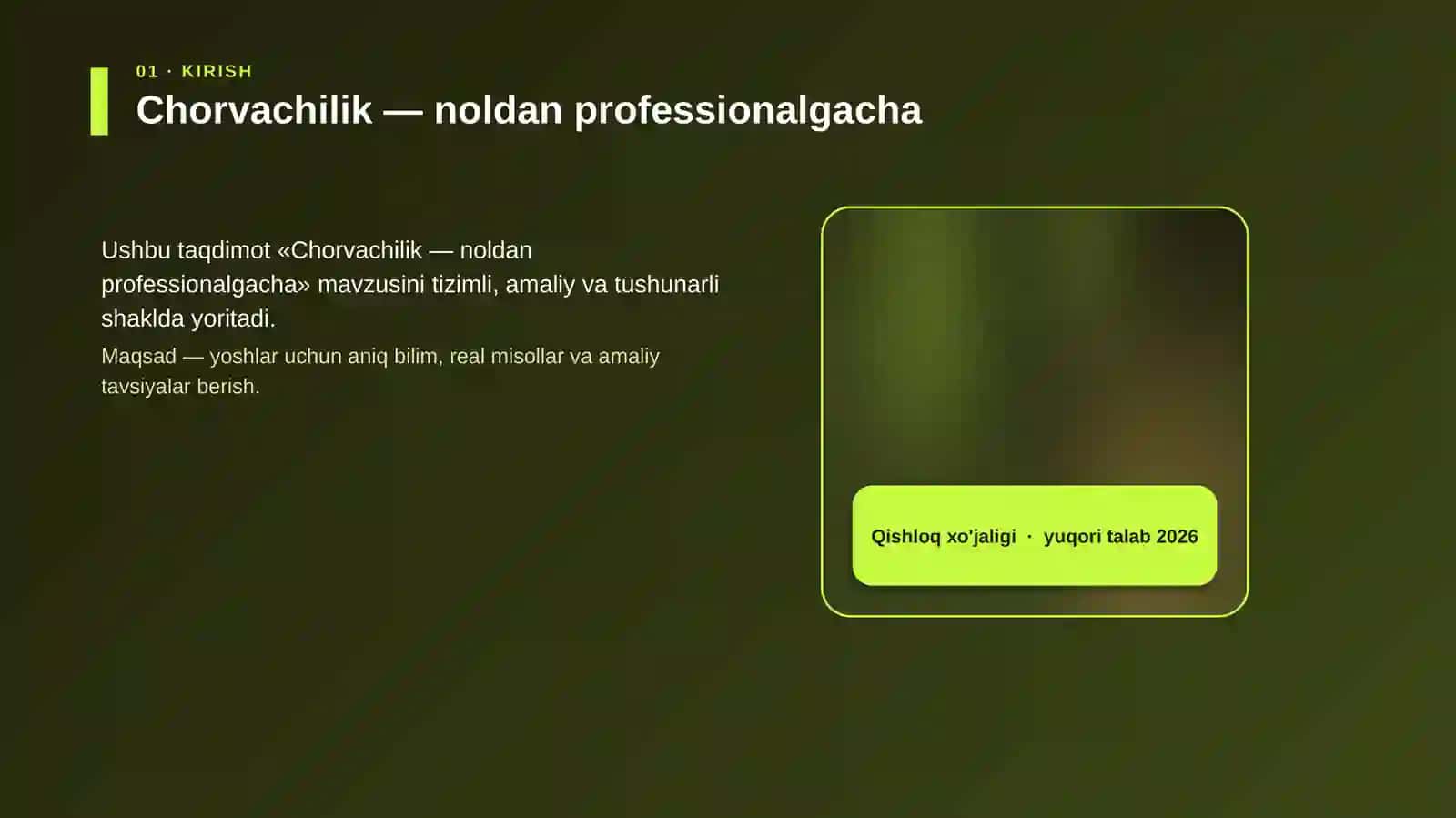 Chorvachilik — noldan professionalgacha 4
