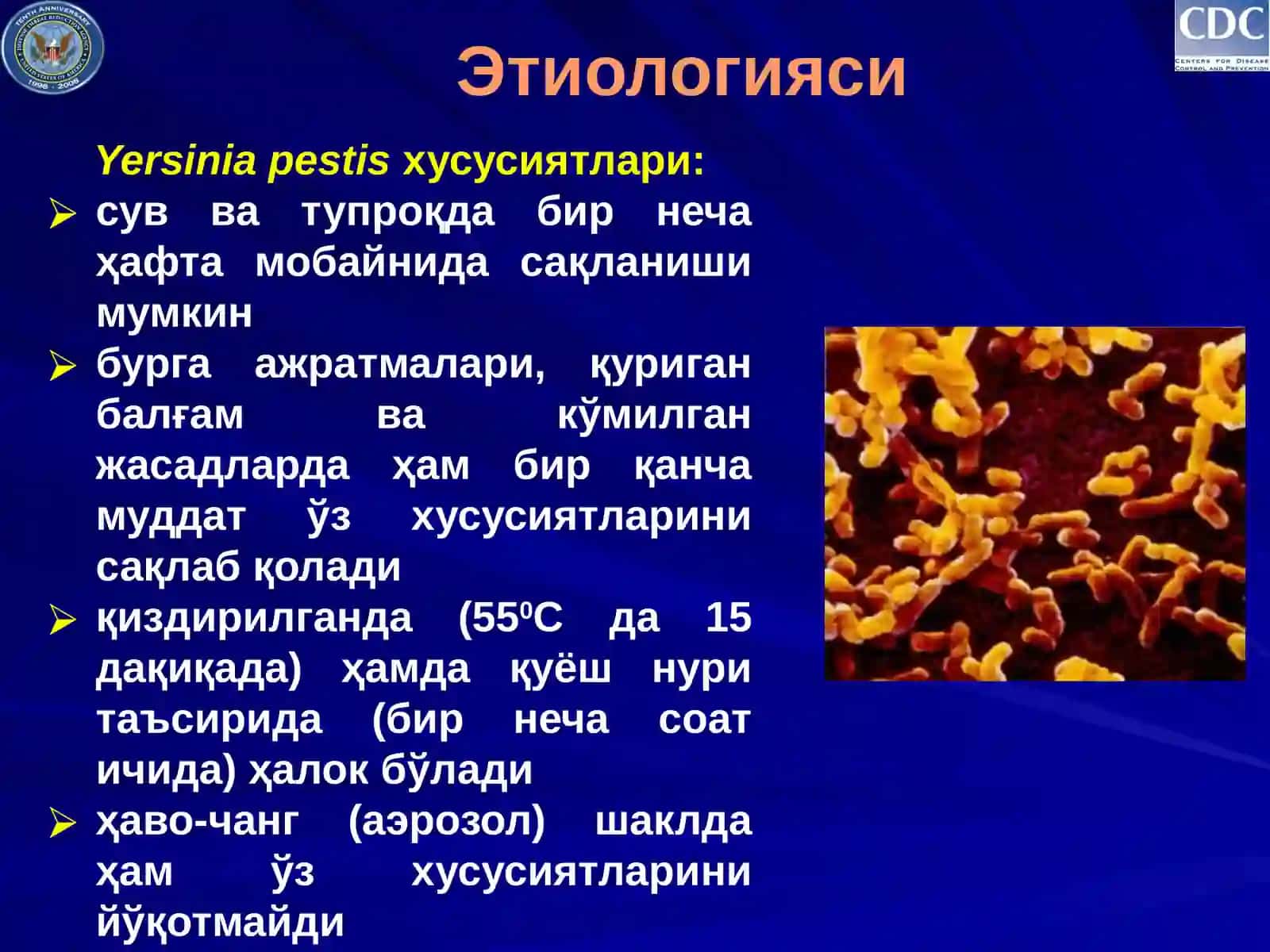Ўлат(чума) - O'lat kasallgi 4