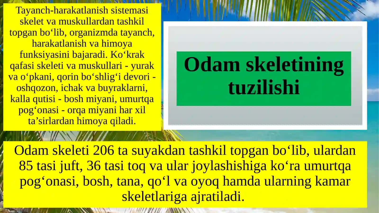 OSTEOLOGIYA SUYAKLAR XAQIDAGI FAN 4