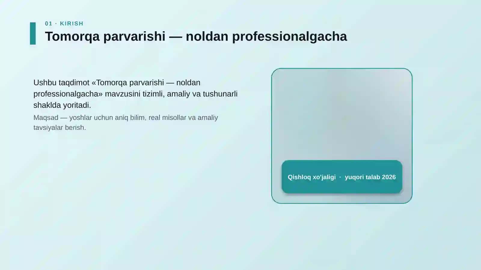 Tomorqa parvarishi — noldan professionalgacha 4