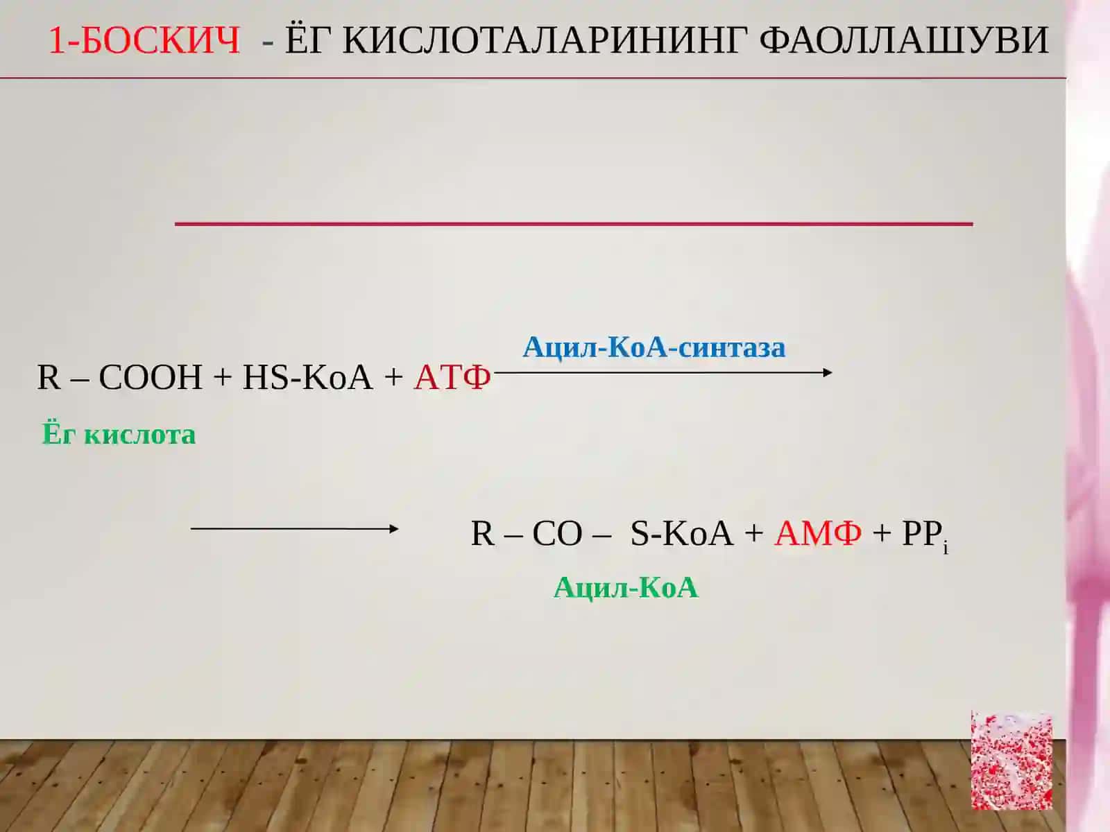 Ёгларнинг оралик алмашинуви 4