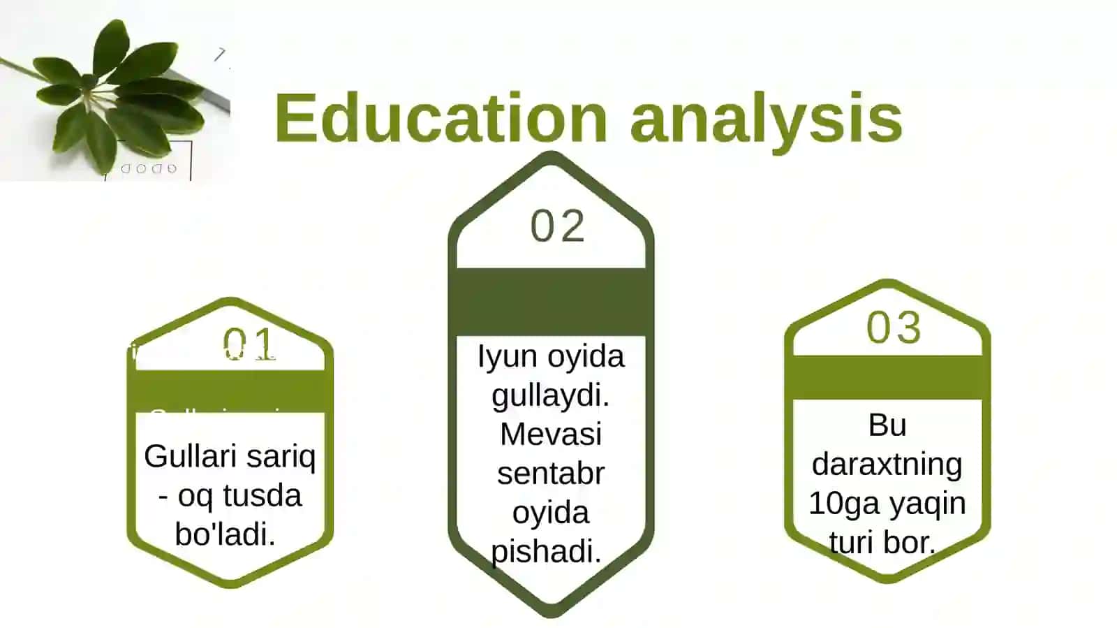 Yaponsaforasi 4