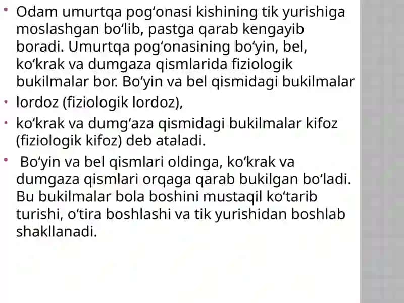 Umurtqa pog’onasi 4