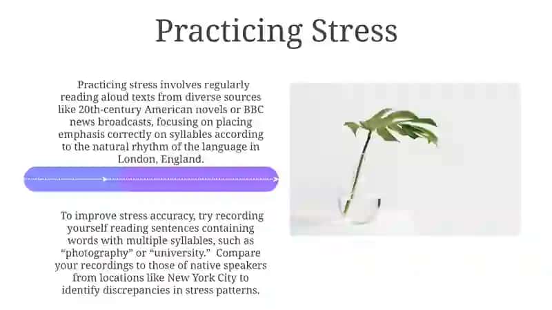 Stress in simple words (phonetics) 4