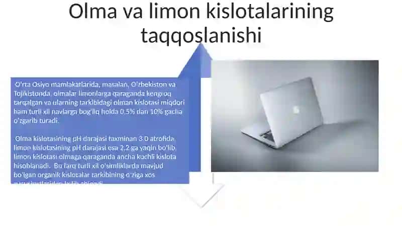 Olma va Limon Kislotalar 4