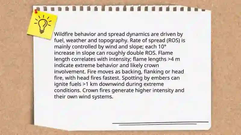 Wildfires 4