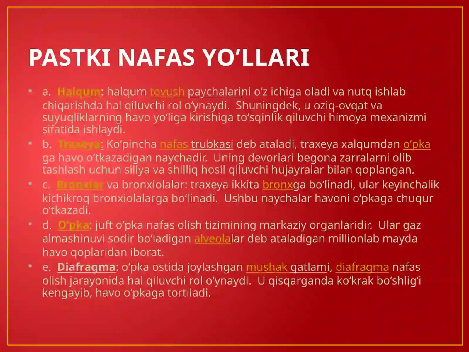 Nafas olish tizimi 4