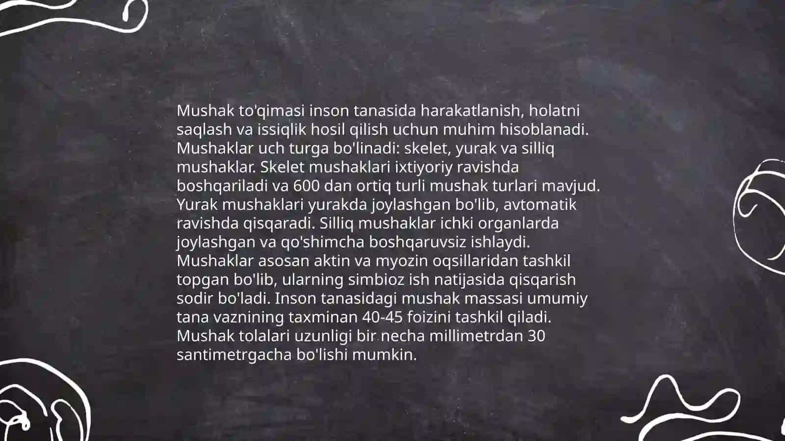 Muskullar anatomiyasi 4