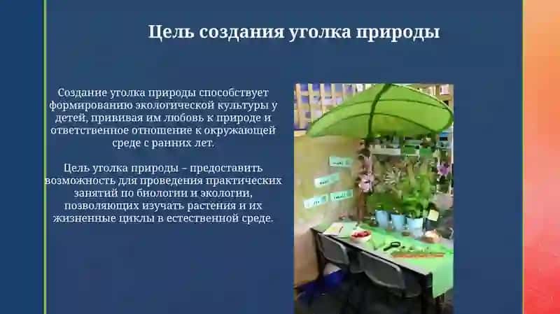 Уголок природы 4
