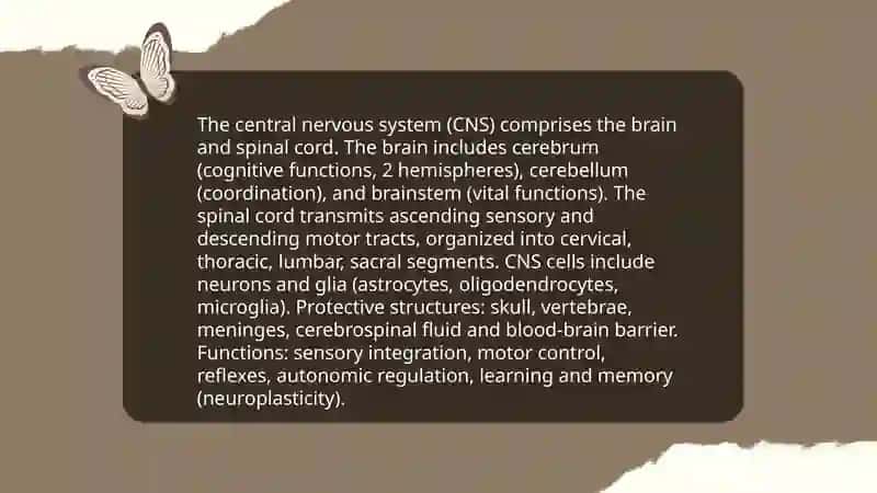 Nervous System 4